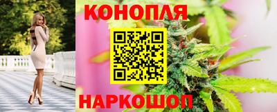 эйфоретик Обь