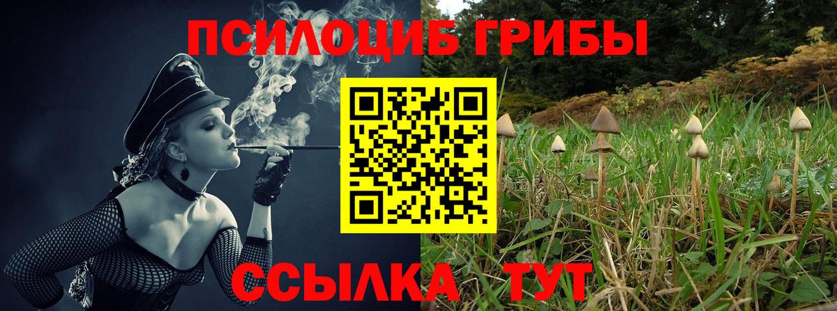 Галлюциногенные грибы GOLDEN TEACHER  Вход с VPN  Пугачёв 