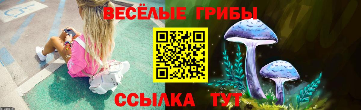 Псилоцибиновые грибы MAGIC MUSHROOMS Пугачёв